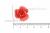 Украшение "Розы малые №1" 20мм - купить в Ленинске-Кузнецком. Цена: 32.49 руб.