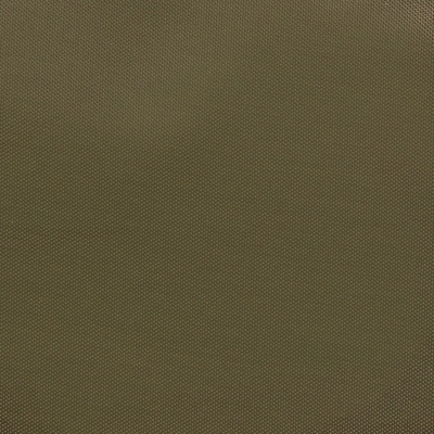 Ткань подкладочная Таффета 19-0618, антист., 53 гр/м2, шир.150см, цвет св.хаки - купить в Ленинске-Кузнецком. Цена 57.16 руб.