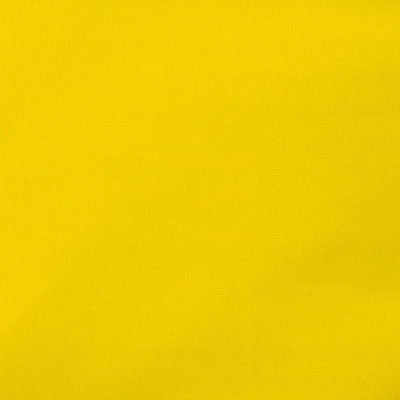 Ткань подкладочная Таффета 13-0758, антист., 53 гр/м2, шир.150см, цвет жёлтый - купить в Ленинске-Кузнецком. Цена 62.37 руб.