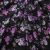 Плательная ткань "Фламенко" 20.1, 80 гр/м2, шир.150 см, принт растительный - купить в Ленинске-Кузнецком. Цена 241.49 руб.