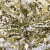 Трикотажное полотно, Сетка с пайетками, шир.130 см, #315, цв.-белый/золото - купить в Ленинске-Кузнецком. Цена 693.39 руб.