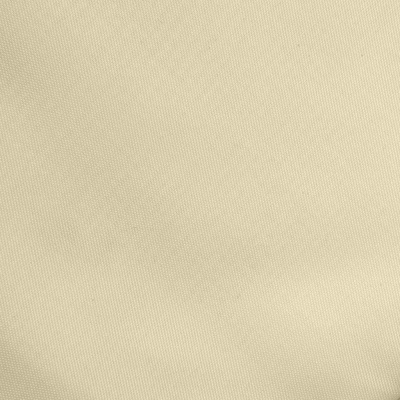 Ткань подкладочная Таффета 14-1014, антист., 54 гр/м2, шир.150см, цвет бежевый - купить в Ленинске-Кузнецком. Цена 65.53 руб.