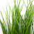 Трава искусственная -4, шт  (осока 50 см/8 см  7 листов)				 - купить в Ленинске-Кузнецком. Цена: 130.73 руб.