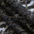 Кружевное полотно XD LACE 1-4, 80 гр/м2, шир.150см, цвет чёрный - купить в Ленинске-Кузнецком. Цена 245.94 руб.